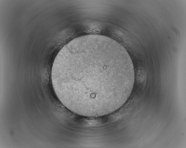 X0000112020370200908311159