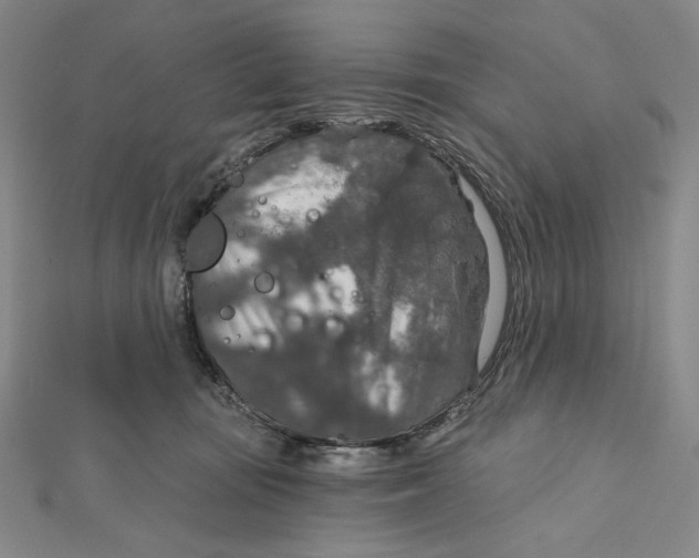 X0000112020371200908311159