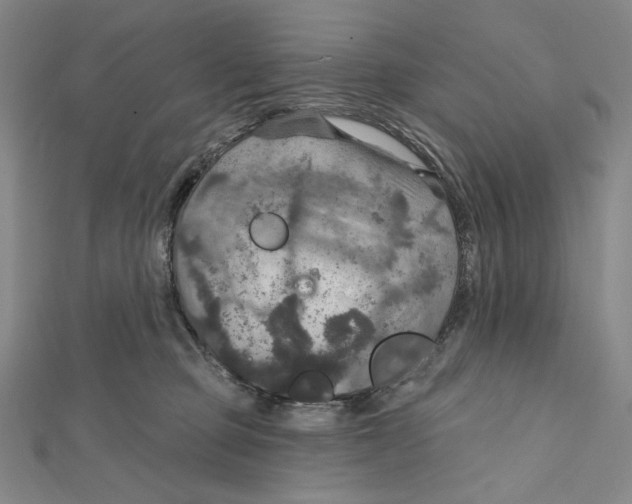 X0000112020373200908311159