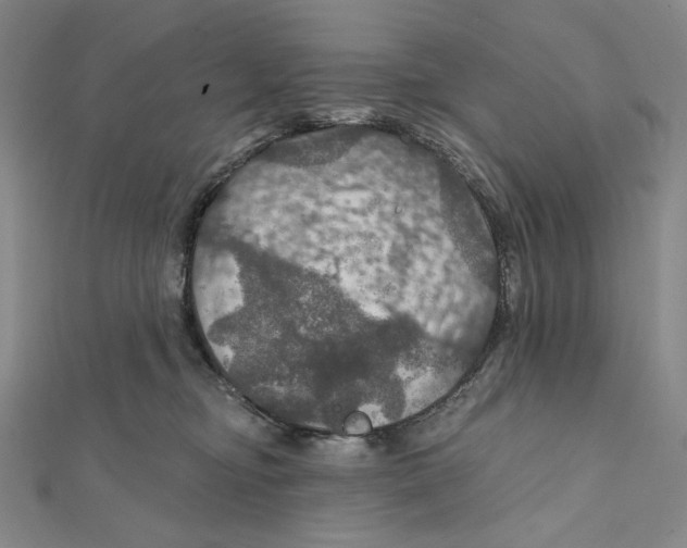 X0000112020374200908311159