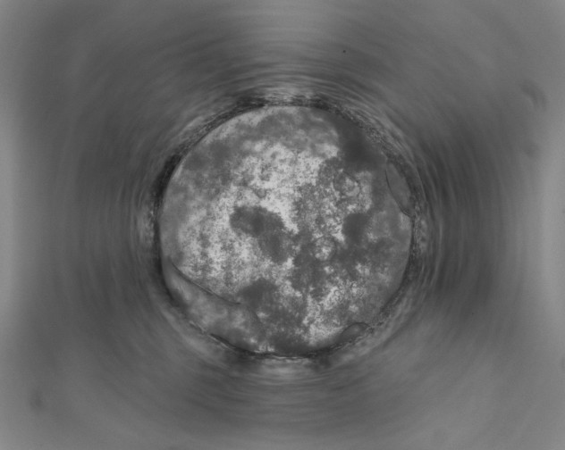 X0000112020375200908311159