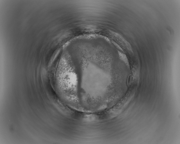 X0000112020376200908311159