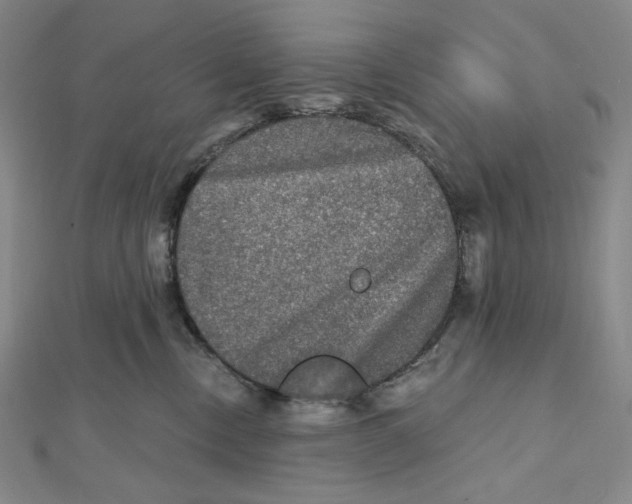 X0000112020378200908311159