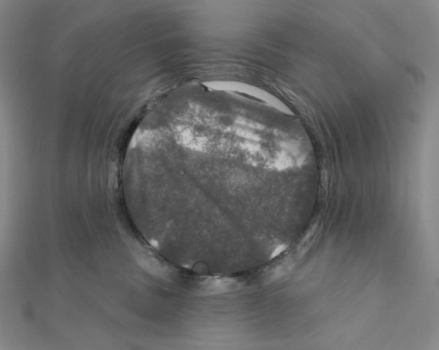 X0000112020379200908311159