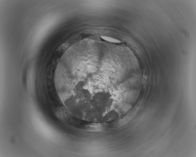 X0000112020381200908311159