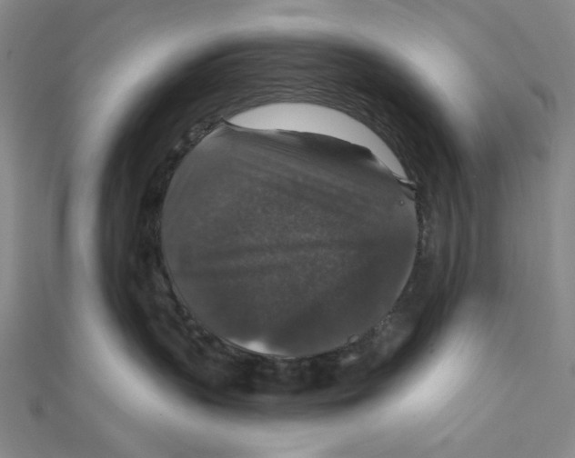 X0000112020383200908311159