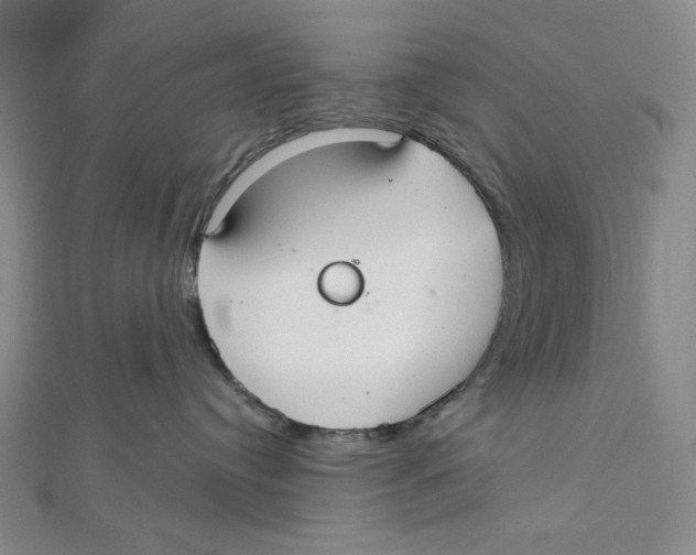 X0000112020384200908311159