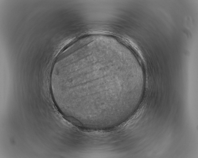 X0000112020385200908311159