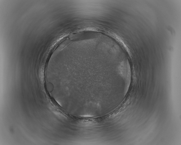 X0000112020386200908311159