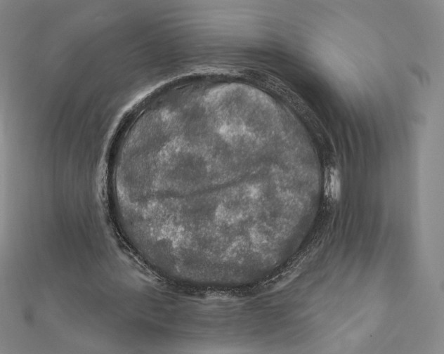 X0000112020388200908311159