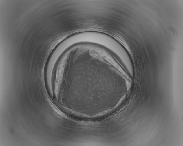 X0000112020389200908311159