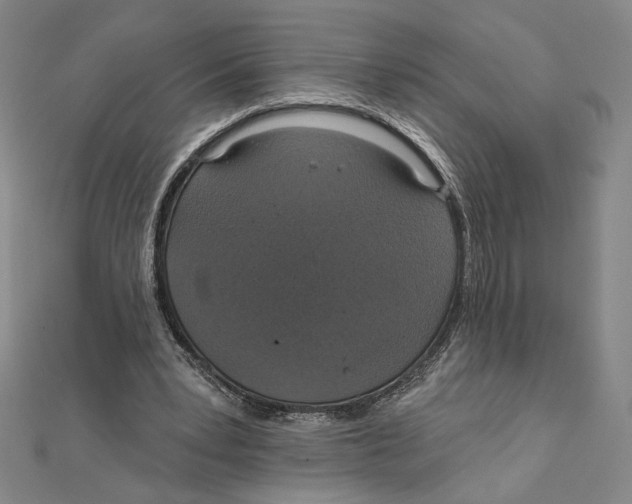 X0000112020391200908311159