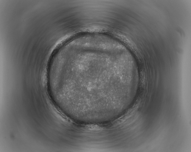 X0000112020392200908311159