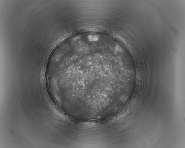 X0000112020394200908311159