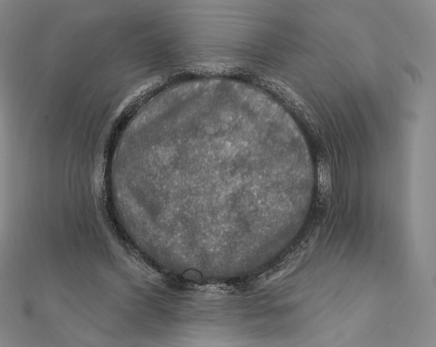 X0000112020396200908311159