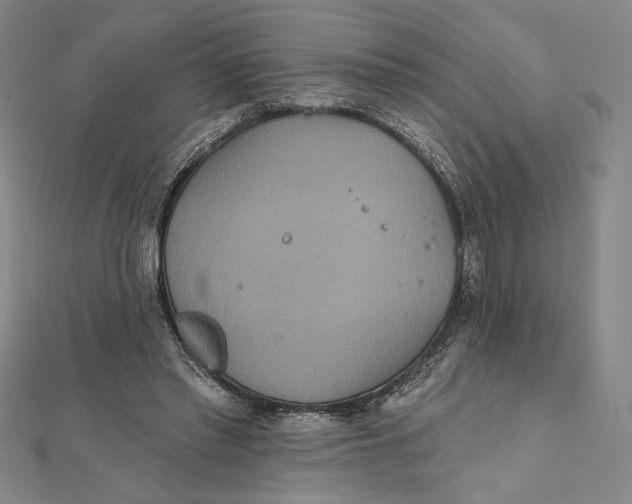 X0000112020397200908311159