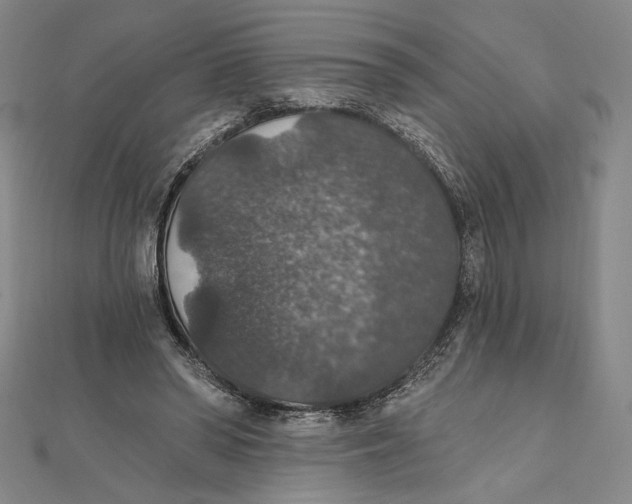 X0000112020398200908311159