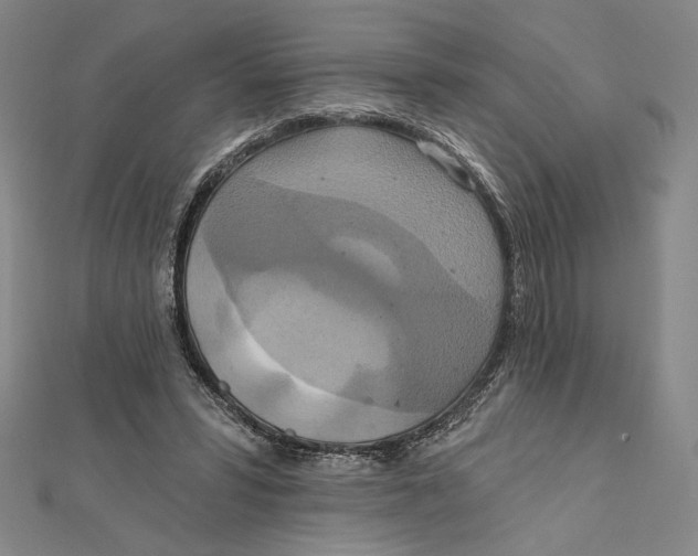 X0000112020399200908311159