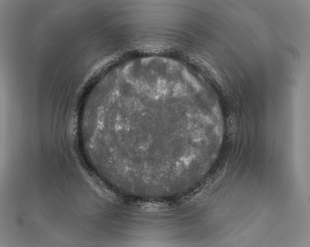 X0000112020400200908311159