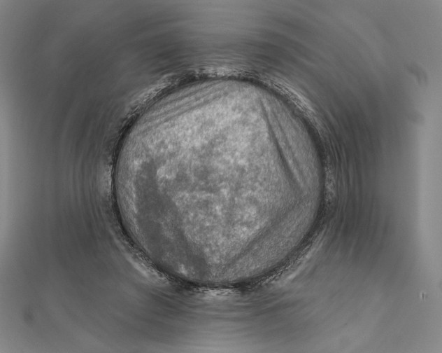 X0000112020401200908311159