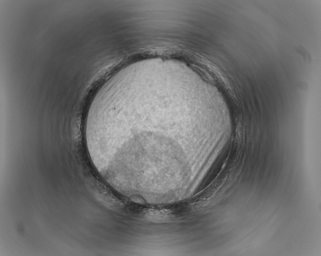 X0000112020403200908311159