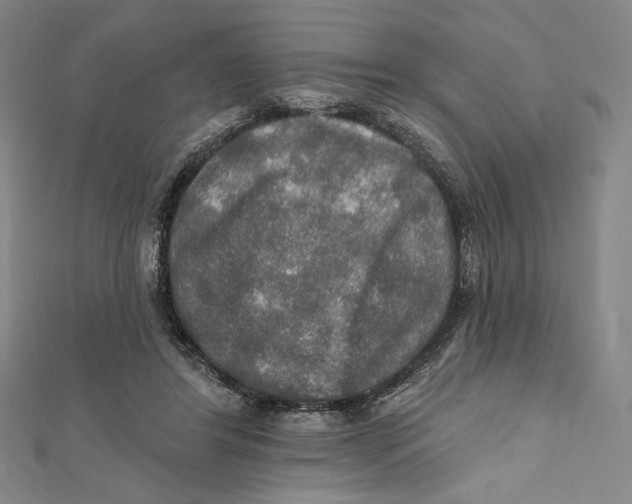 X0000112020404200908311159