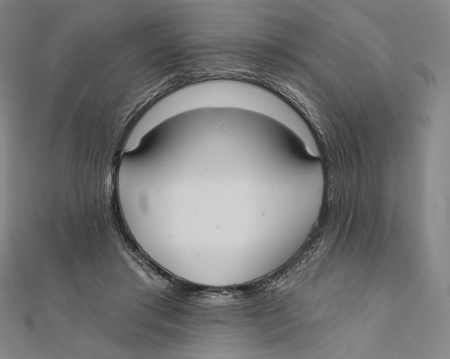 X0000112020405200908311159