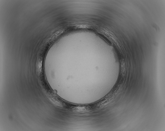 X0000112020406200908311159