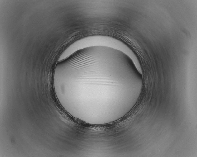 X0000112020409200908311159