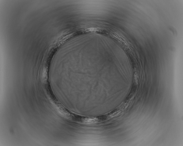 X0000112020410200908311158