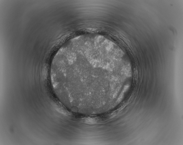 X0000112020412200908311158