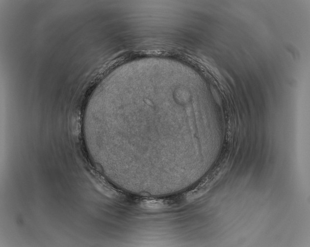 X0000112020413200908311158