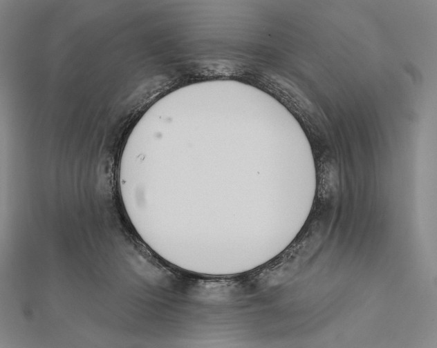 X0000112020414200908311158