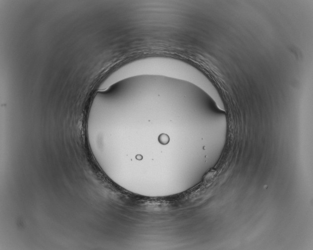 X0000112020415200908311158