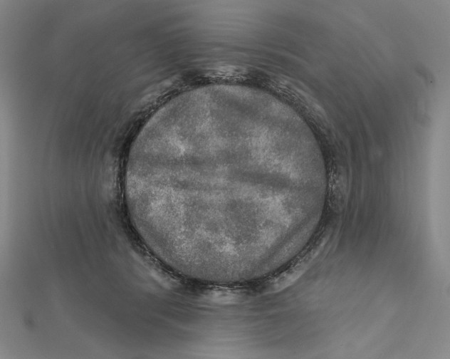 X0000112020416200908311158