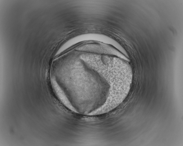 X0000112020417200908311158