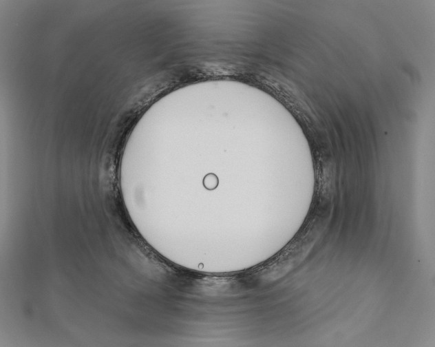 X0000112020418200908311158