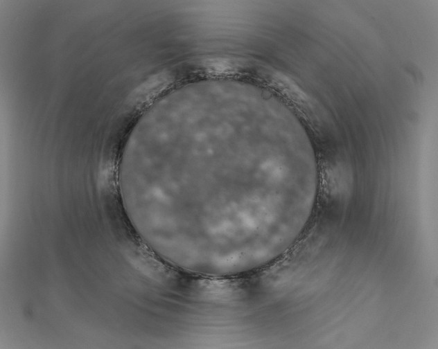 X0000112020419200908311158