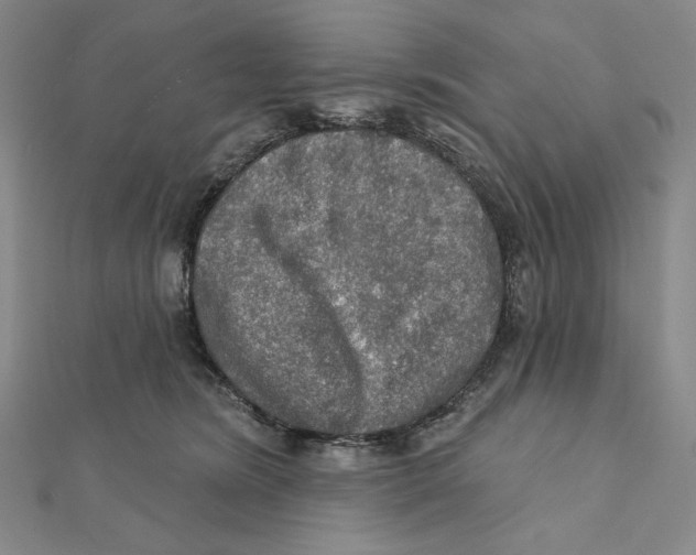 X0000112020420200908311158