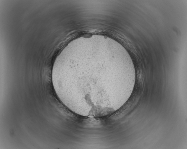 X0000112020421200908311158