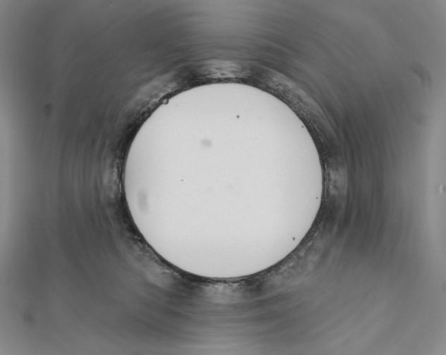 X0000112020422200908311158