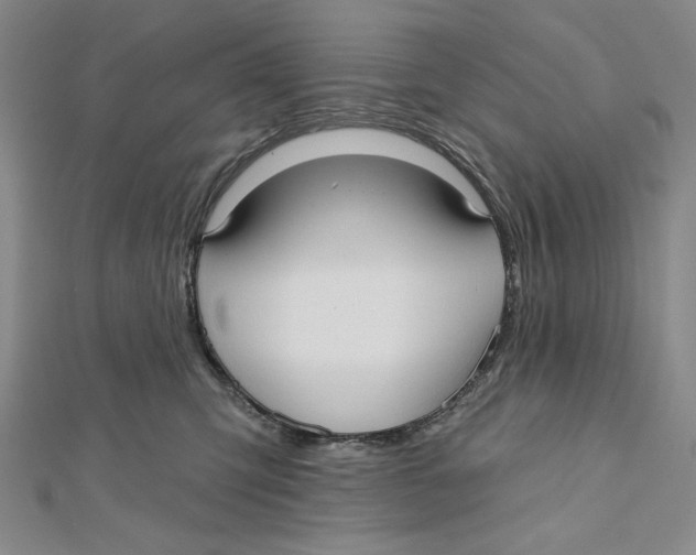 X0000112020423200908311158