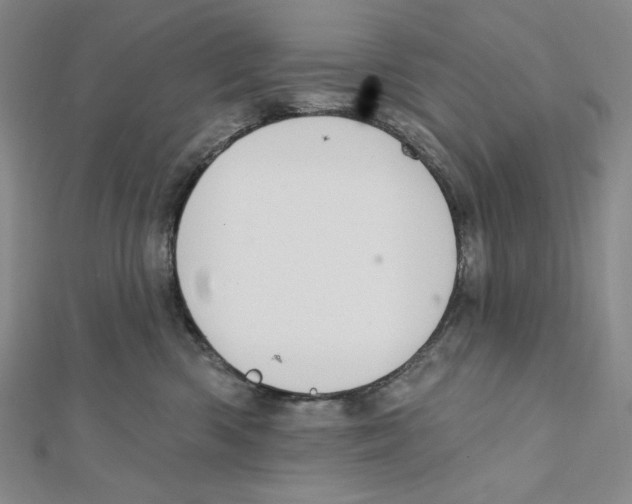 X0000112020426200908311158