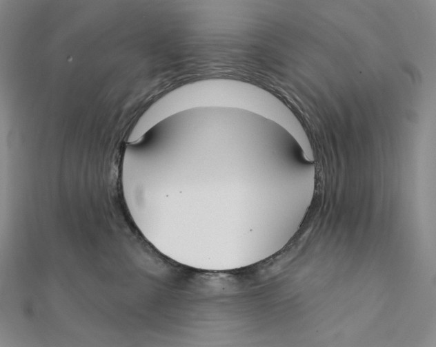 X0000112020427200908311158