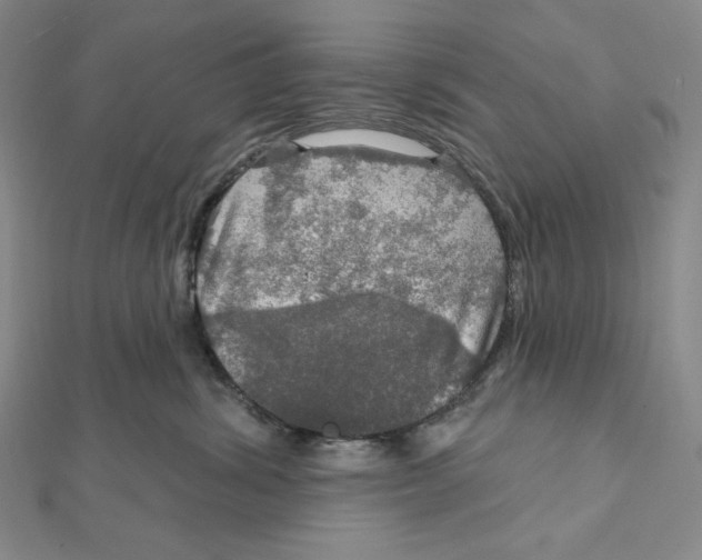 X0000112020428200908311158