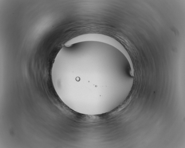 X0000112020429200908311158