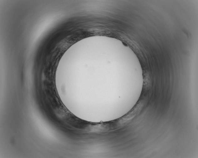 X0000112020430200908311158