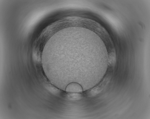 X0000112020431200908311158