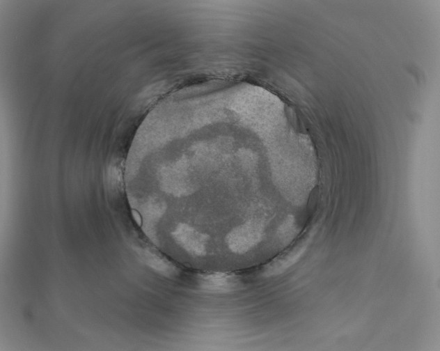 X0000112020432200908311158