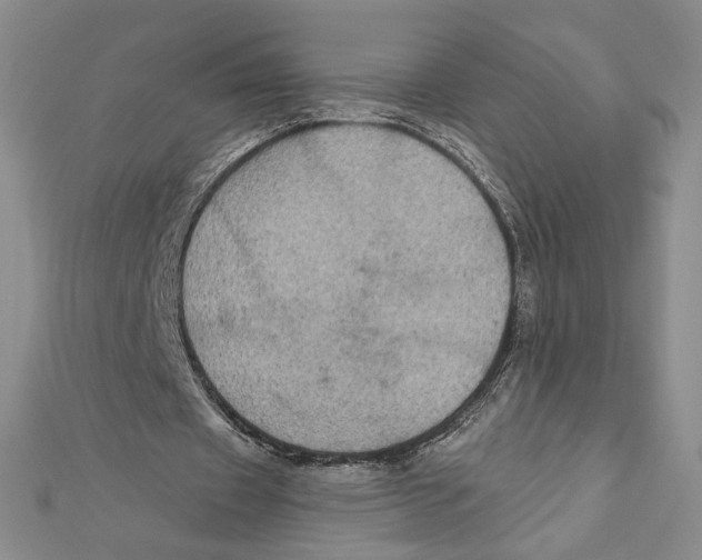 X0000112020433200908311158